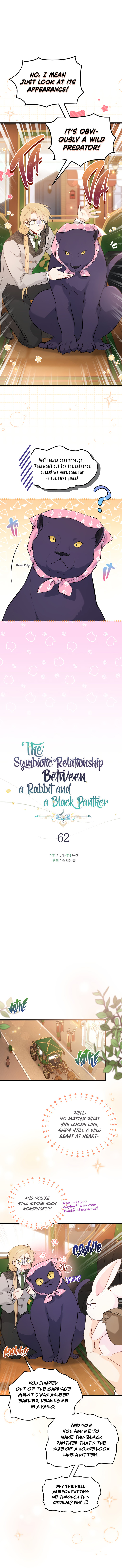 The Symbiotic Relationship Between A Rabbit and A Black Panther Chapter 62 - Page 4