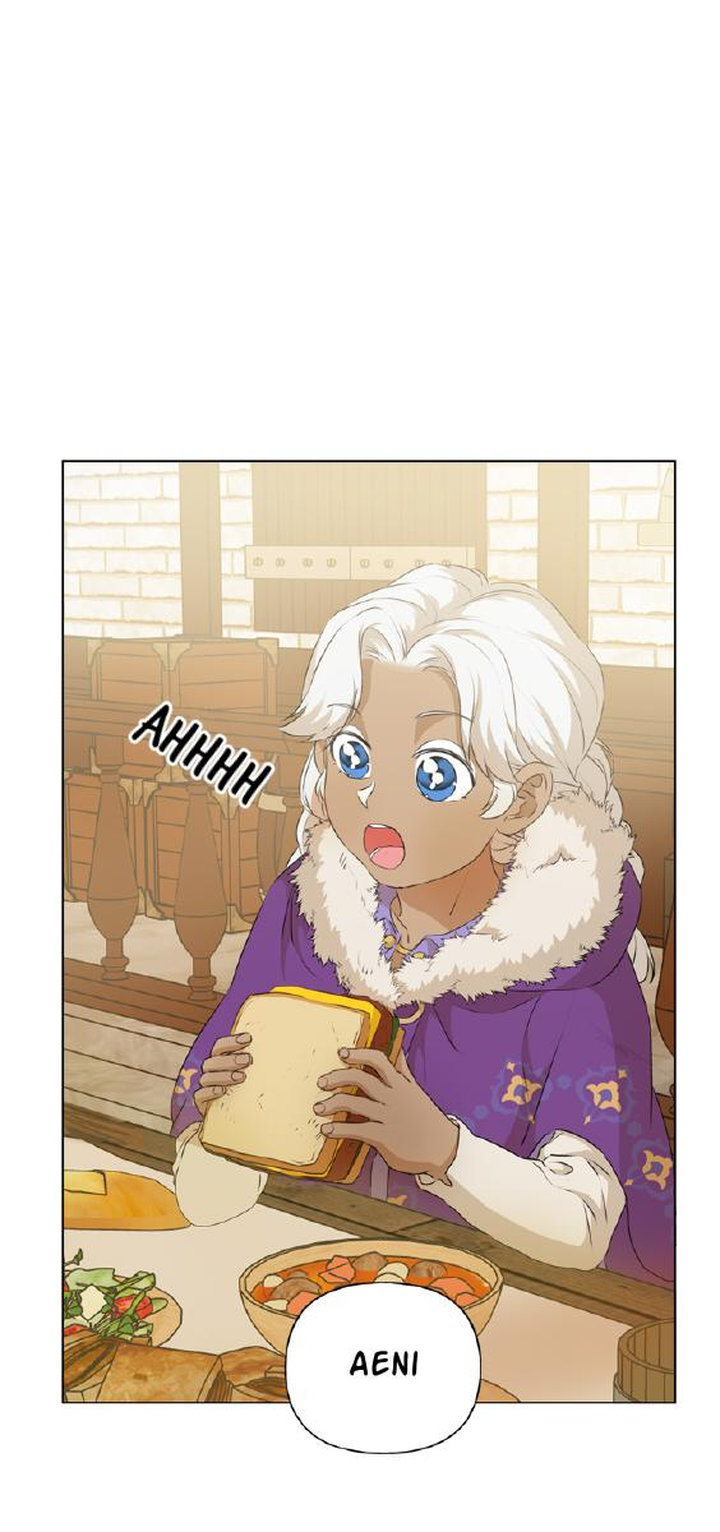 The Golden Haired Elementalist Chapter 66 - Page 47