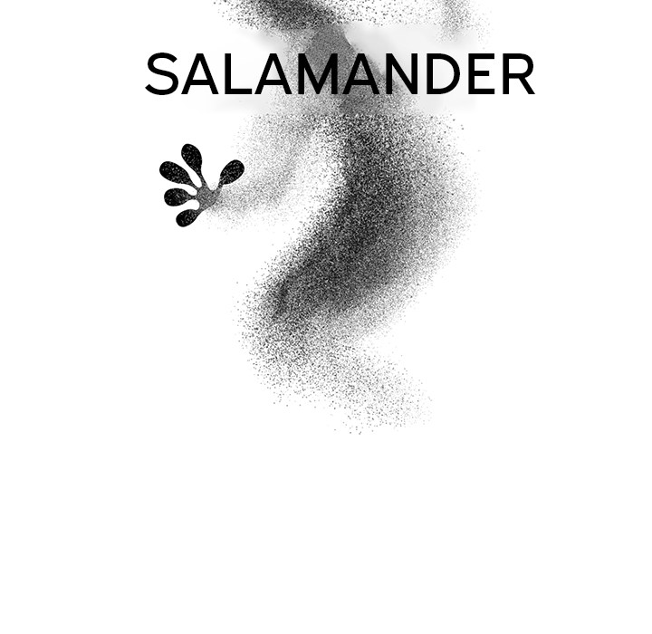 Salamander Chapter 2 - Page 27