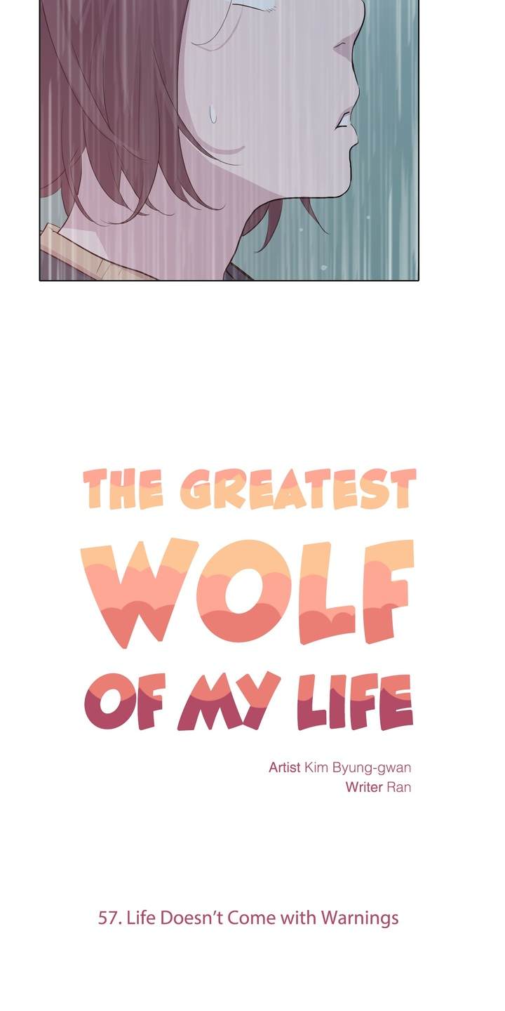 The Greatest Wolf of My Life Chapter 57 - Page 16