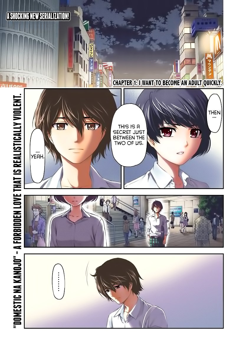 Domestic na Kanojo Chapter 248 - Page 4