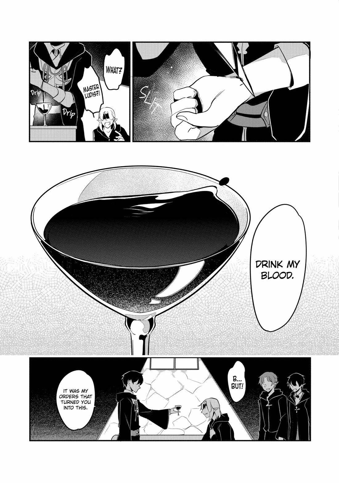 Mamono o Shitagaeru “Teiin” o Motsu Tensei Kenja – Katsute no Mahou to Juuma de Hissori Saikyou no Boukensha ni Naru Chapter 25 - Page 25