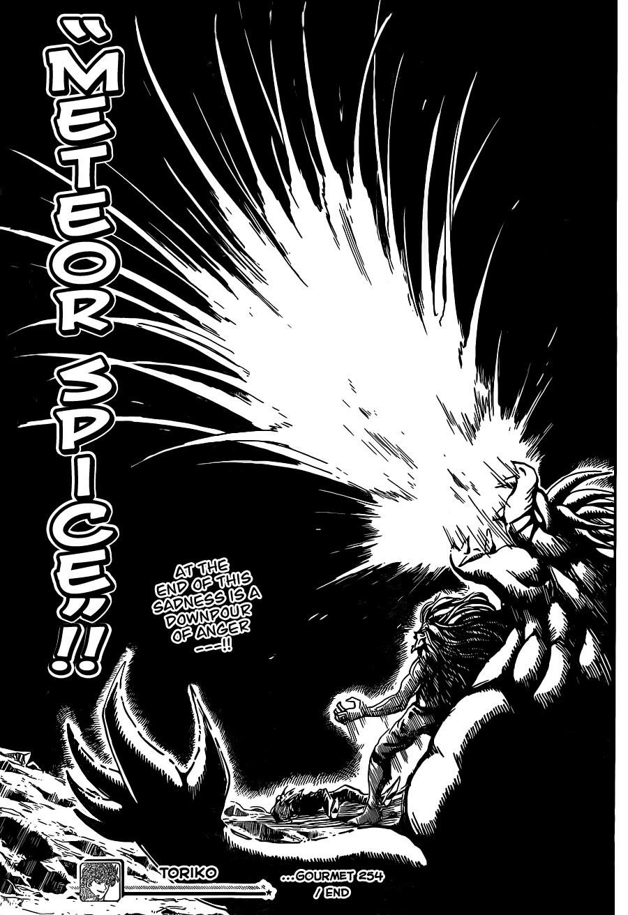 Toriko Chapter 254 - Page 19