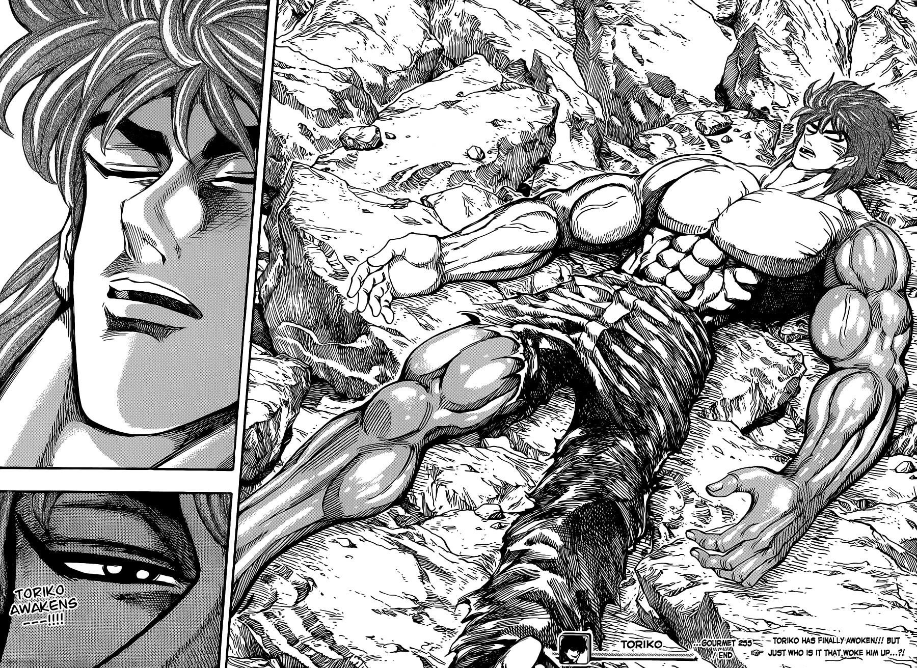 Toriko Chapter 255 - Page 17