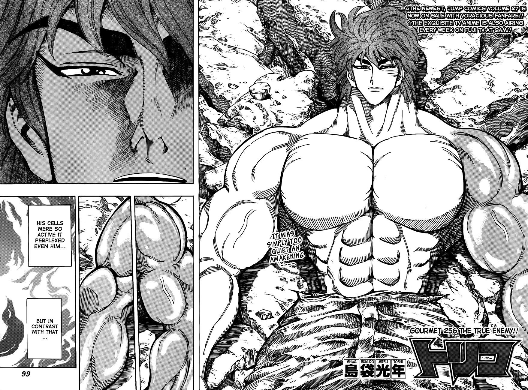 Toriko Chapter 256 - Page 4