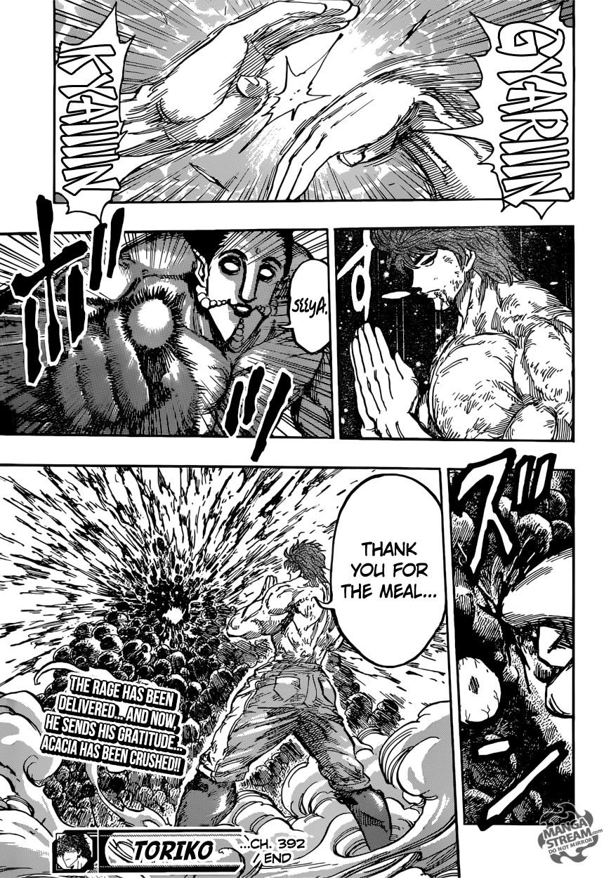 Toriko Chapter 392 - Page 20