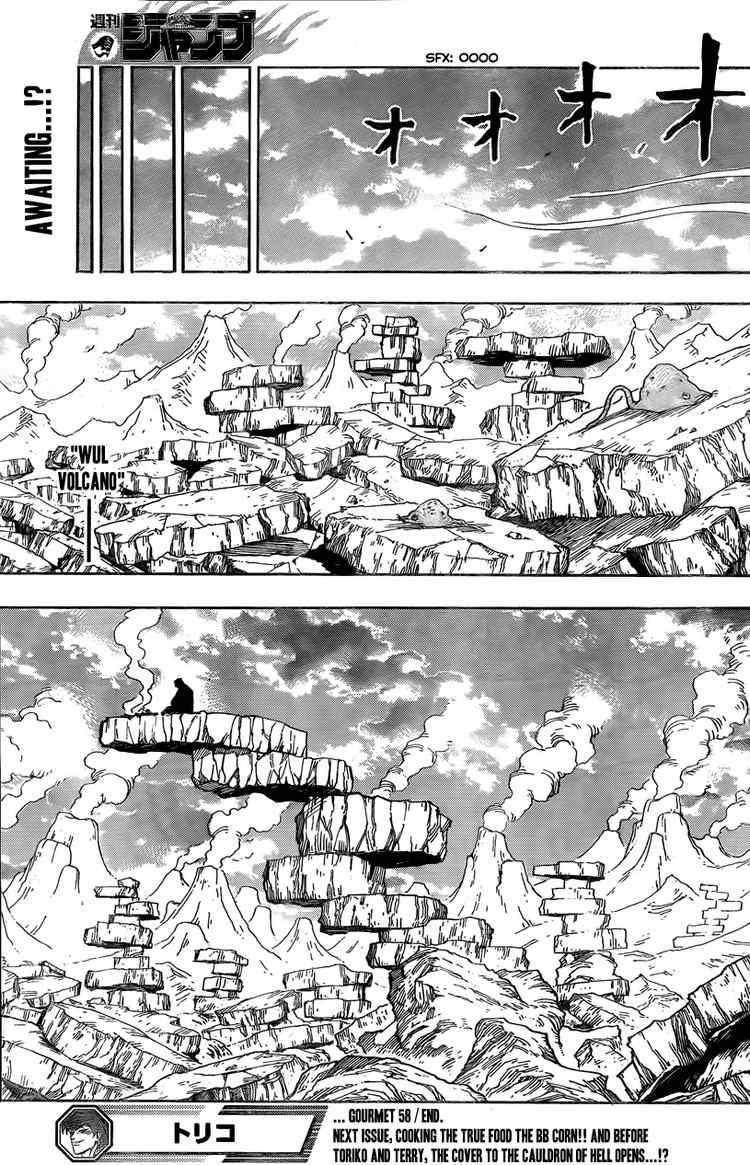 Toriko Chapter 58 - Page 19