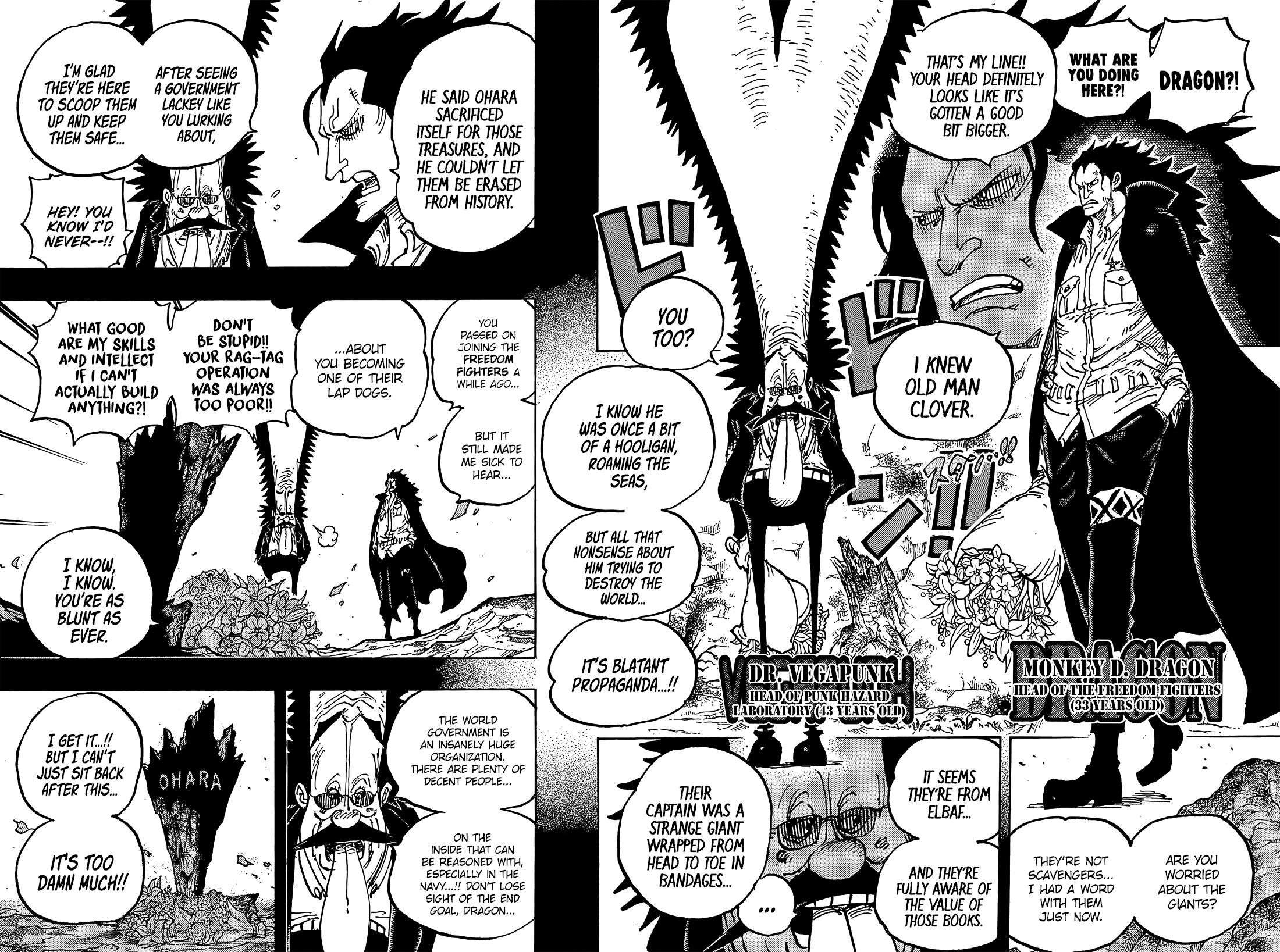 One Piece Chapter 1066 - Page 10