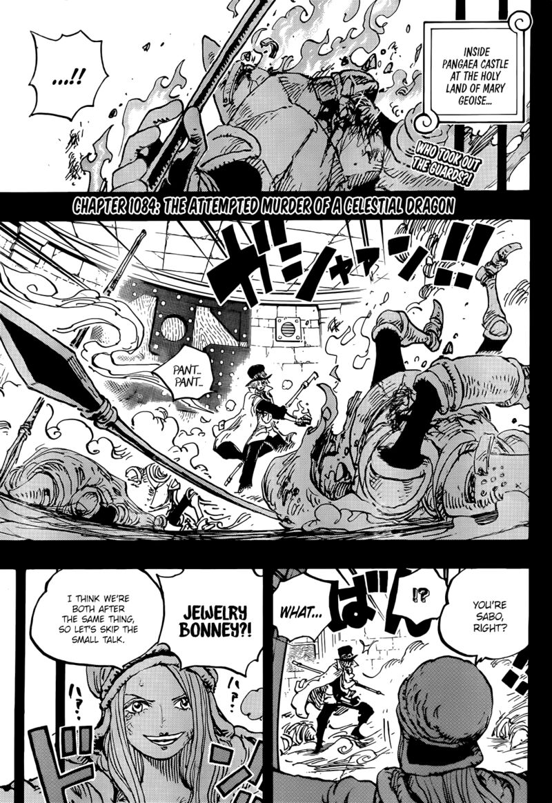 One Piece Chapter 1084 - Page 3