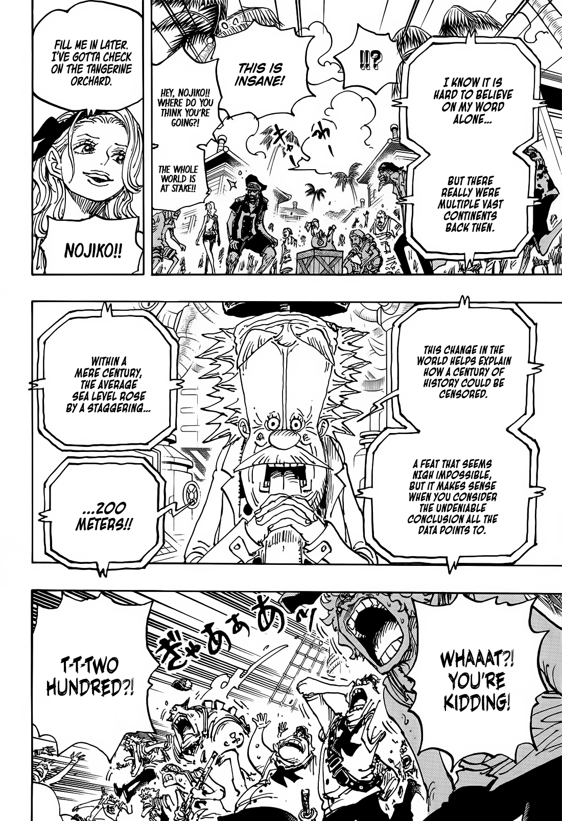 One Piece Chapter 1115 - Page 13