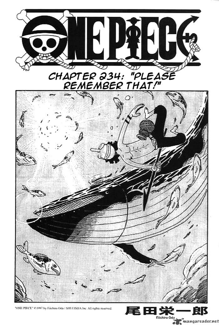 One Piece Chapter 234 - Page 1