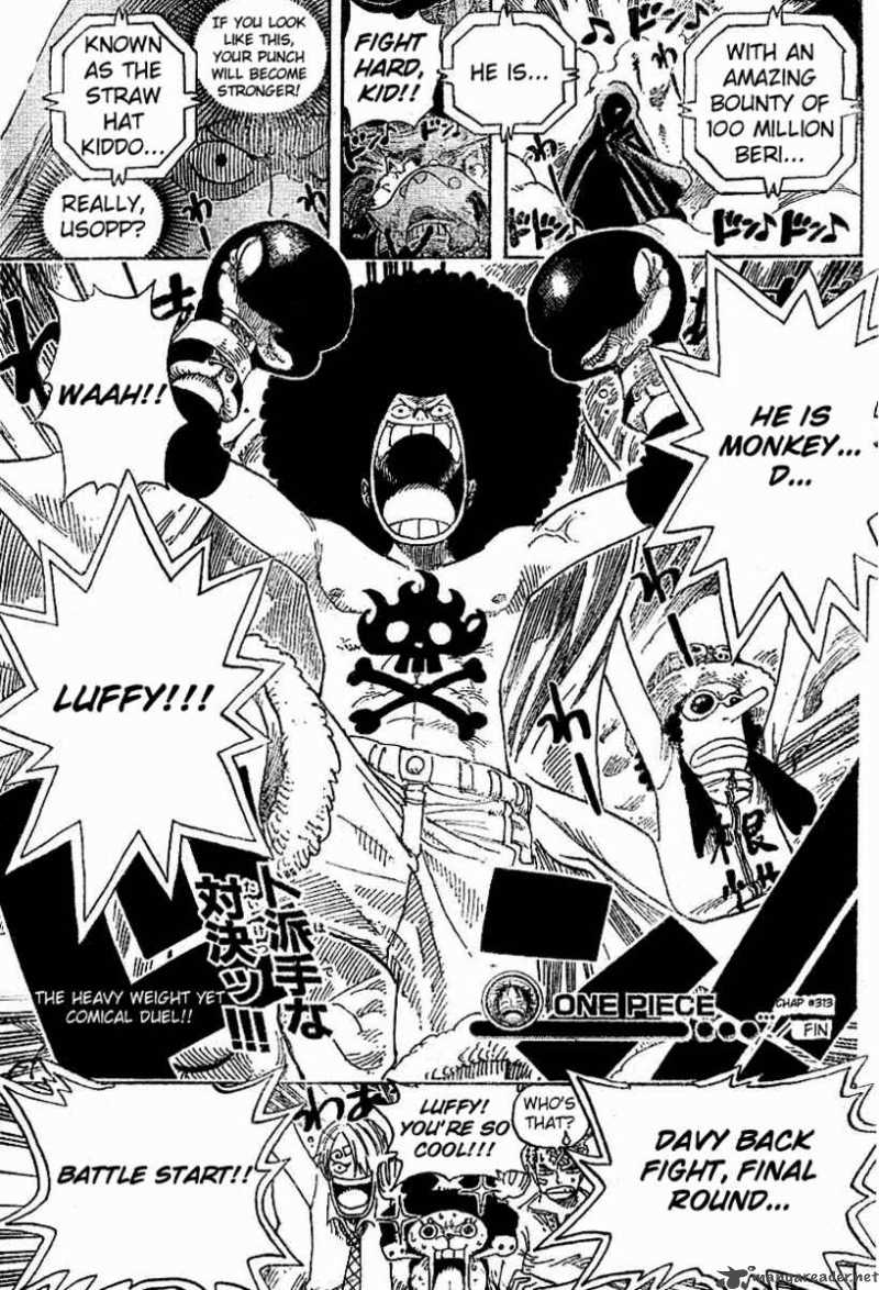 One Piece Chapter 313 - Page 19