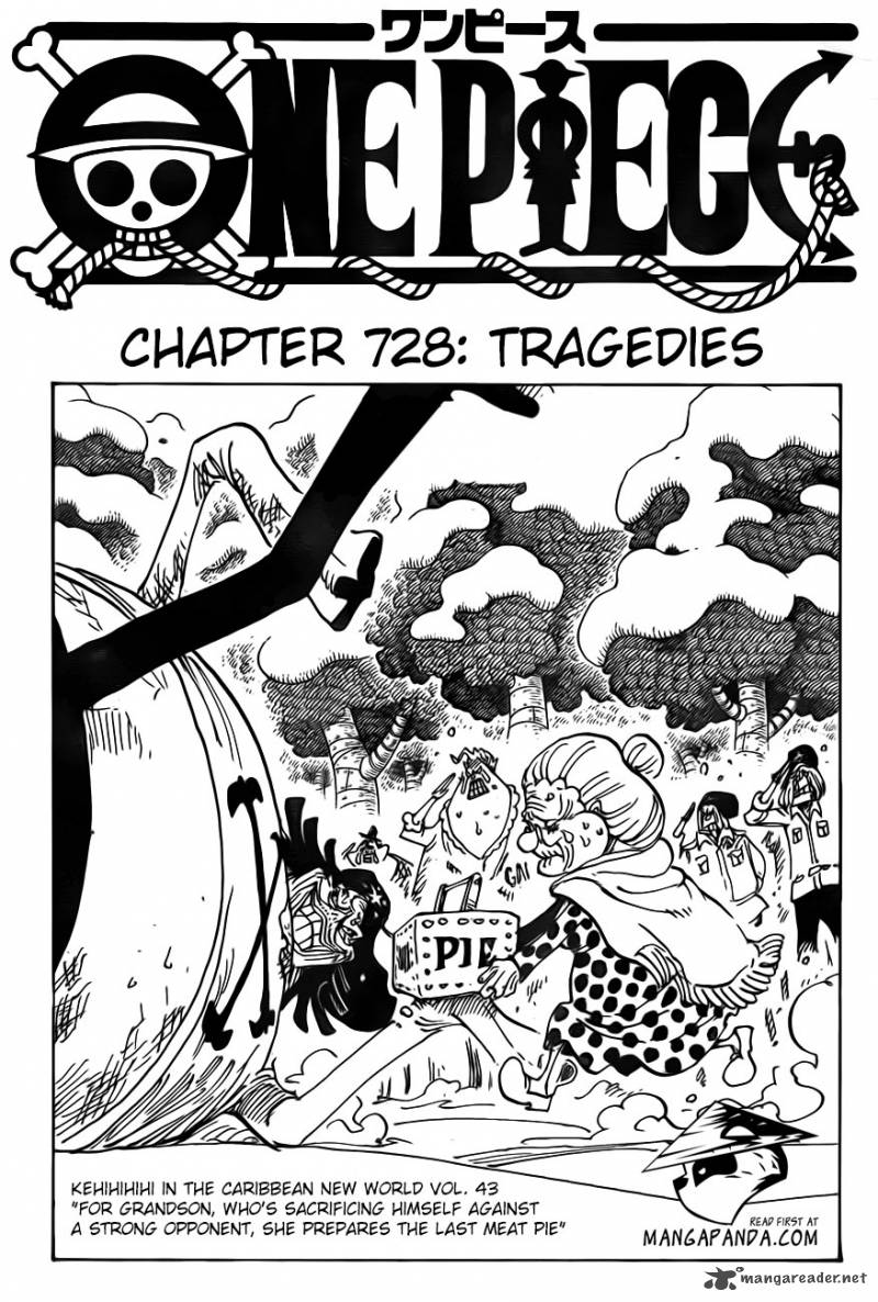 One Piece Chapter 728 - Page 3