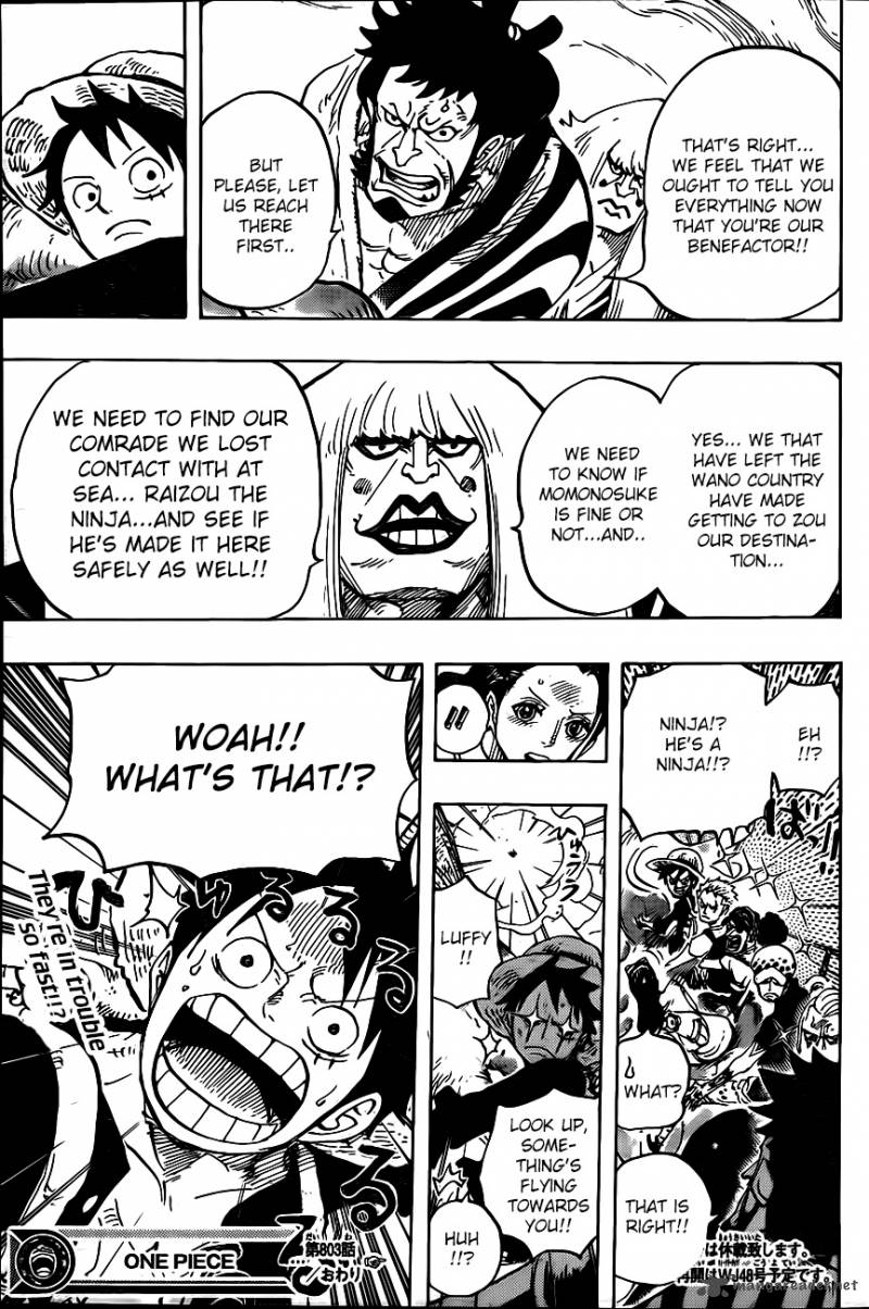 One Piece Chapter 803 - Page 13