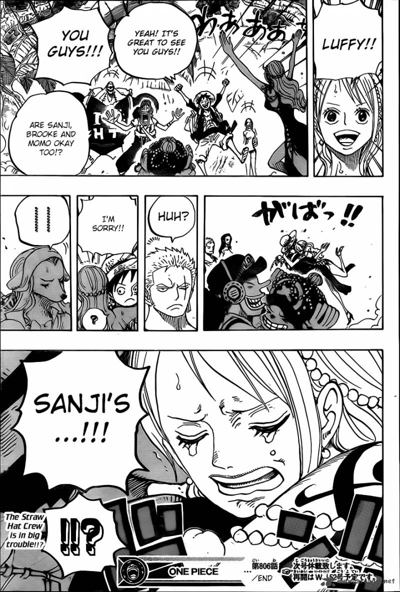 One Piece Chapter 806 - Page 16