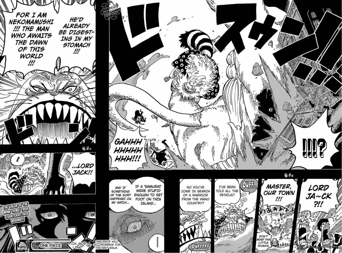 One Piece Chapter 809 - Page 18