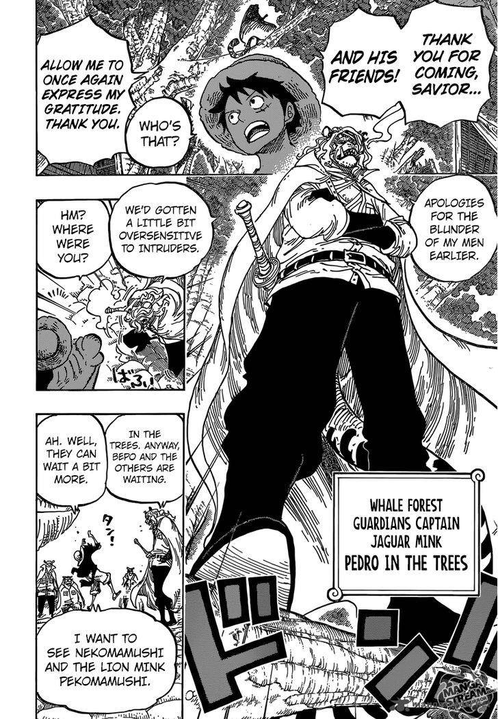 One Piece Chapter 814 - Page 13