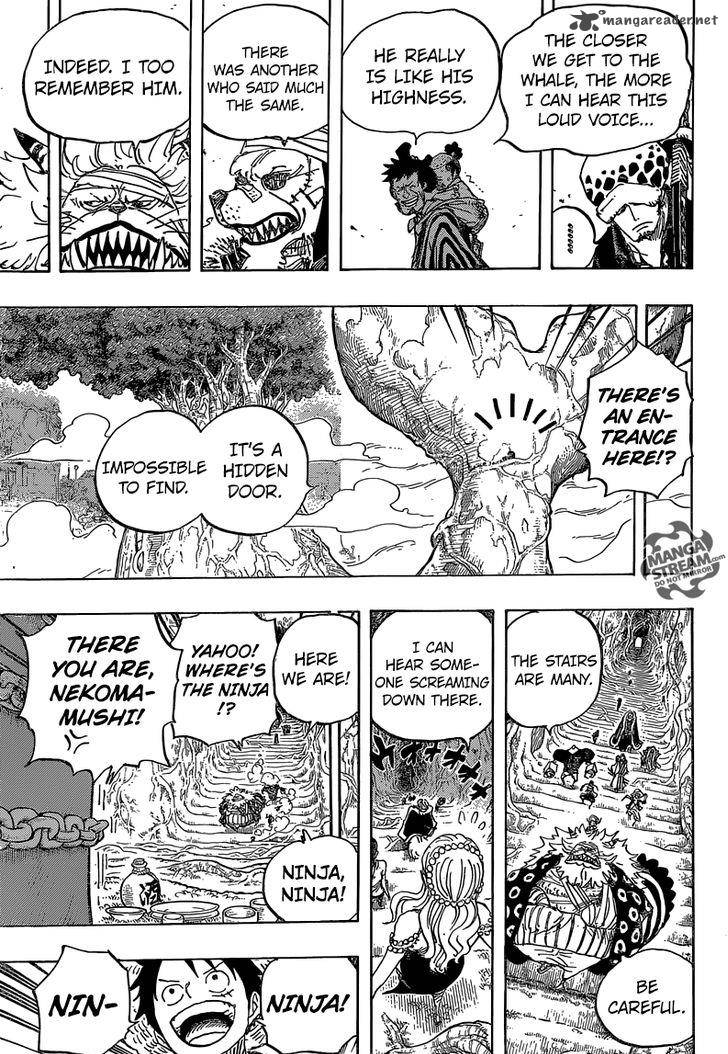 One Piece Chapter 817 - Page 13