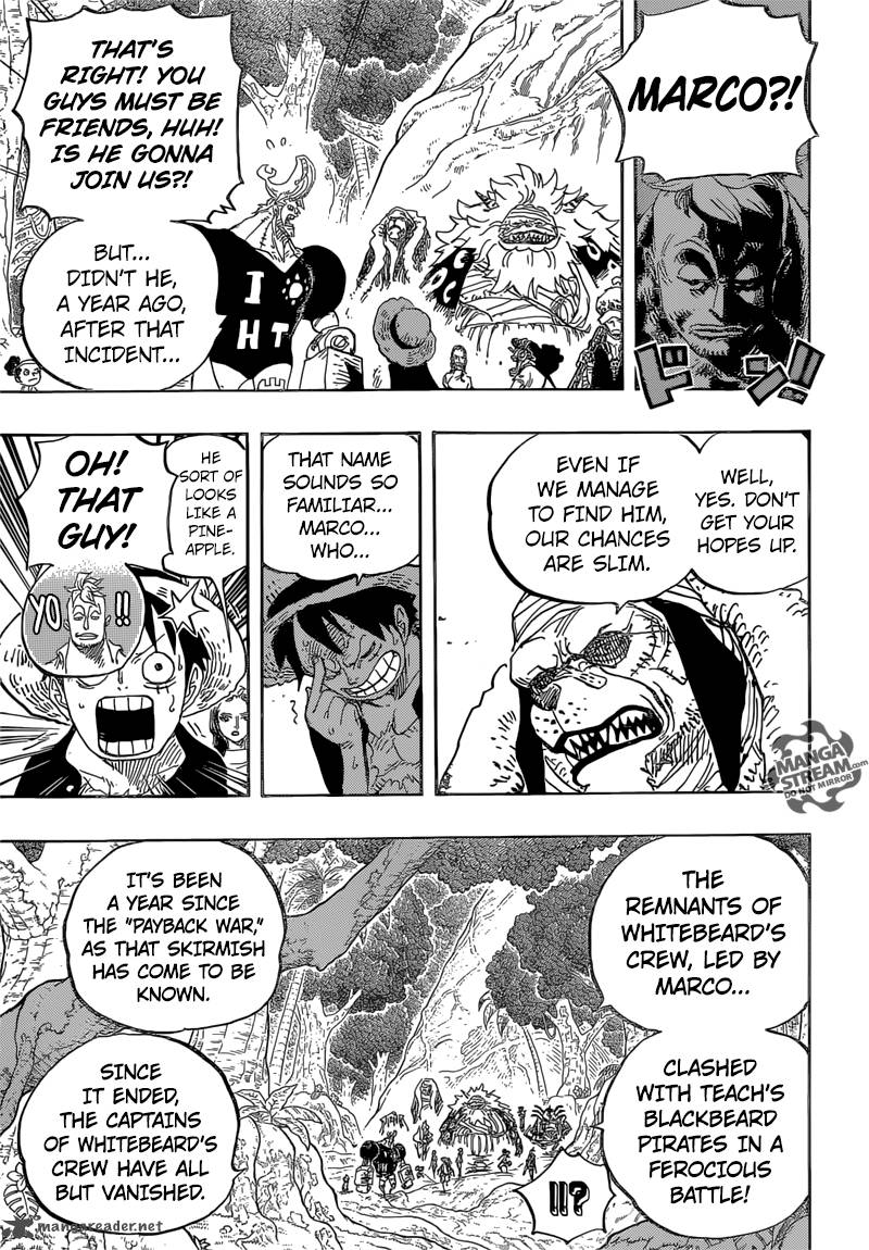 One Piece Chapter 820 - Page 13