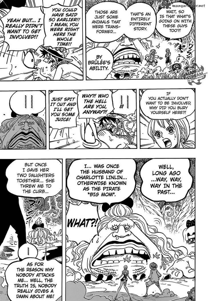 One Piece Chapter 835 - Page 19