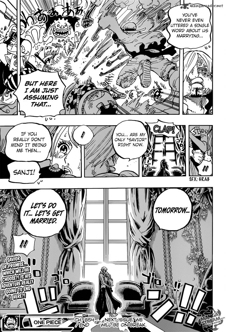 One Piece Chapter 845 - Page 17