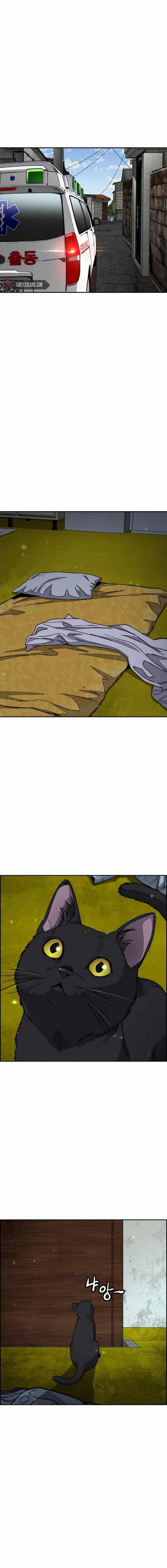 Wind Breaker Chapter 547 - Page 23