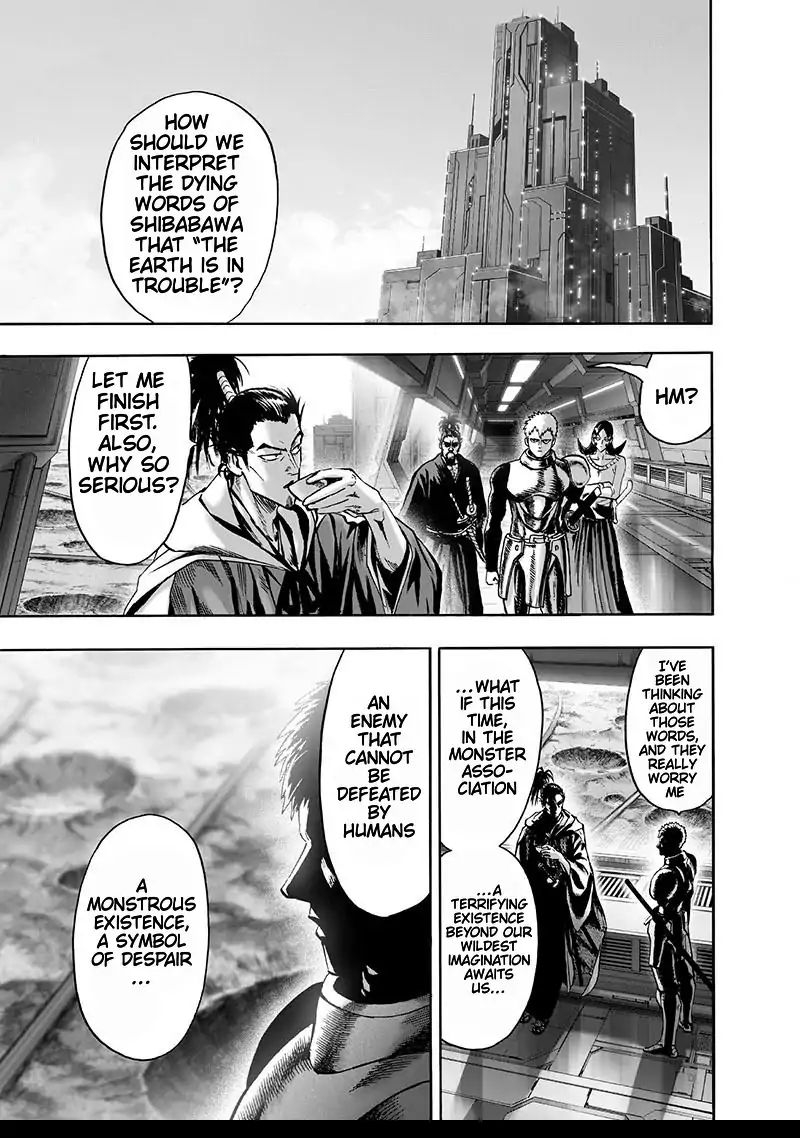 One Punch Man, onepunchman Chapter 155 - Page 17