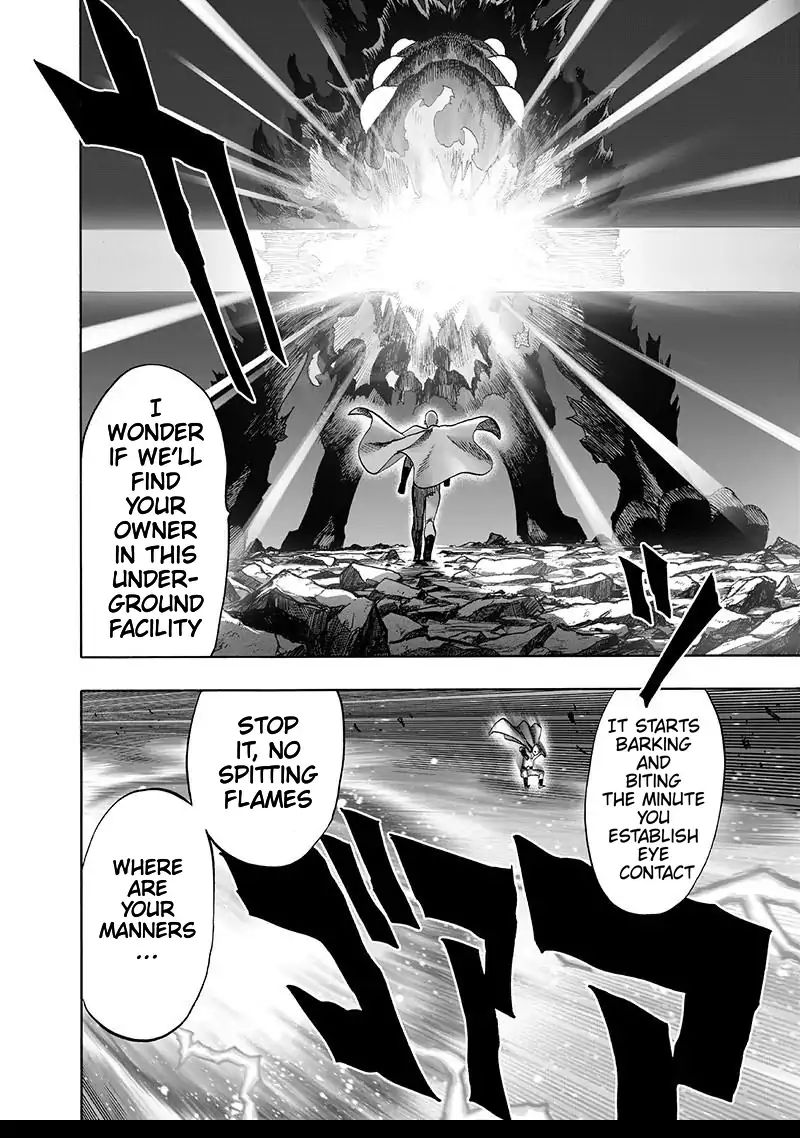 One Punch Man, onepunchman Chapter 157 - Page 17