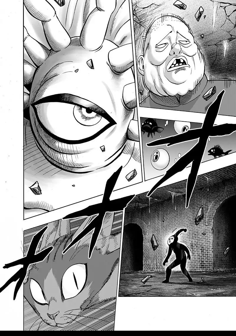 One Punch Man, onepunchman Chapter 157 - Page 23