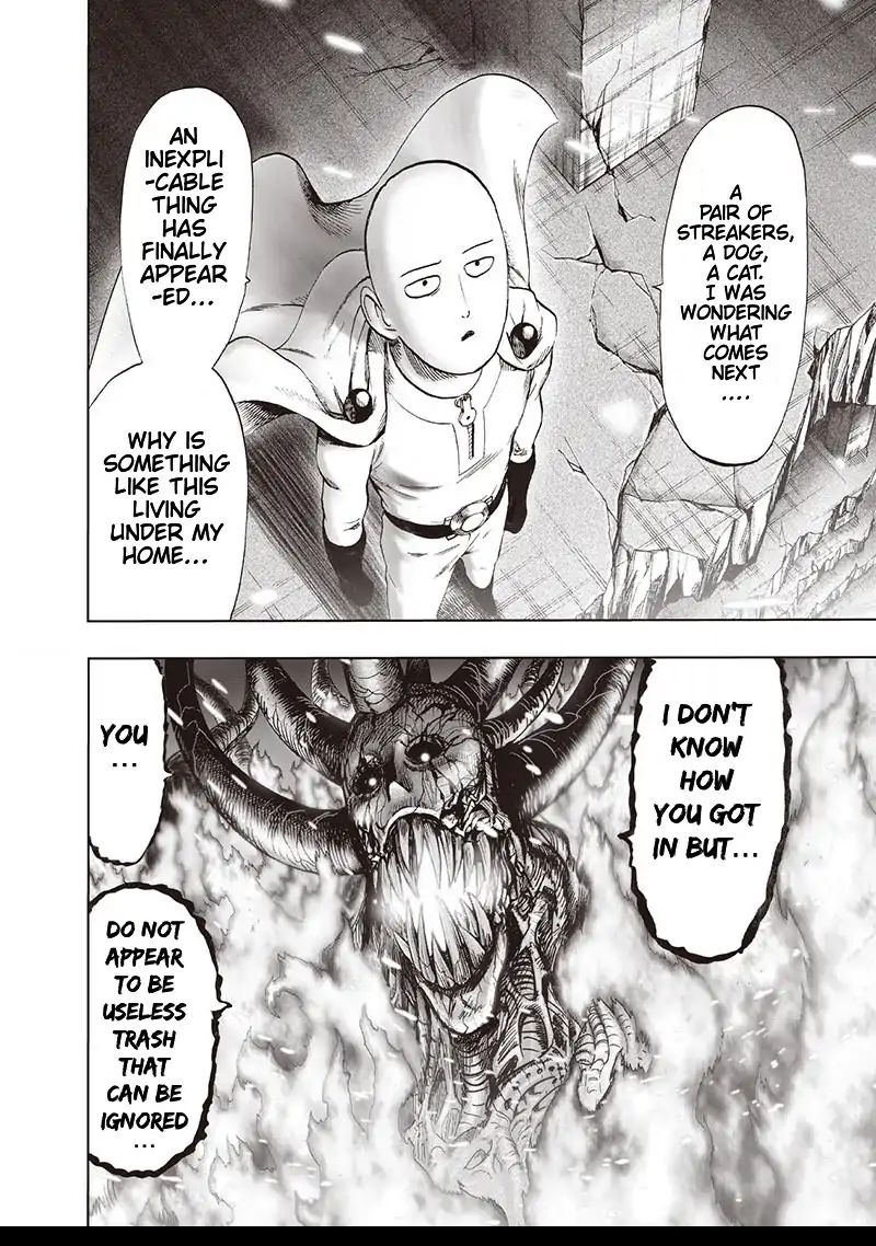 One Punch Man, onepunchman Chapter 158 - Page 19