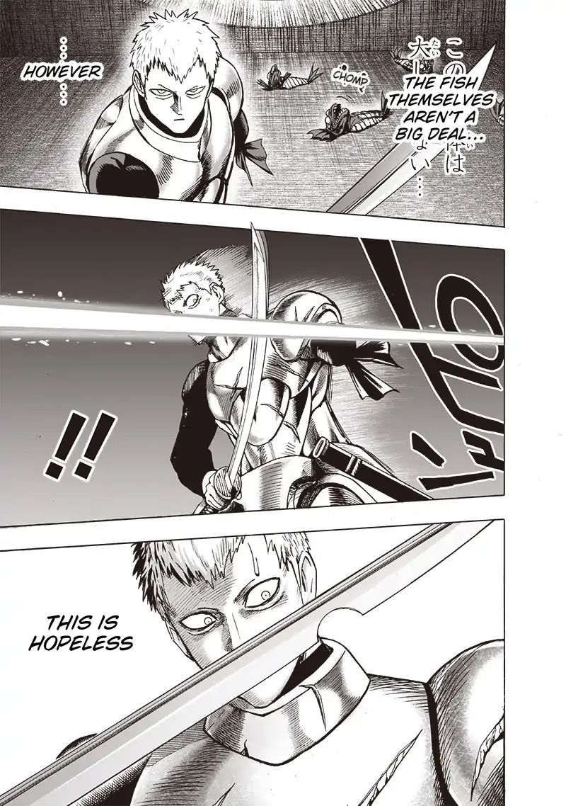 One Punch Man, onepunchman Chapter 166 - Page 19