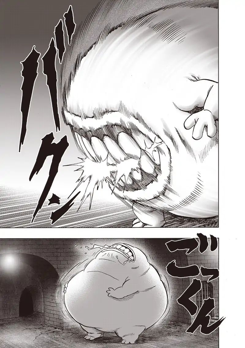 One Punch Man, onepunchman Chapter 166 - Page 5