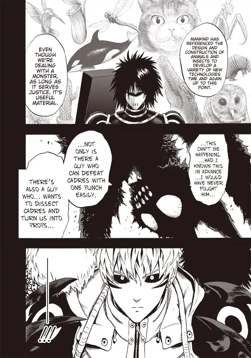 One Punch Man, onepunchman Chapter 172 - Page 19