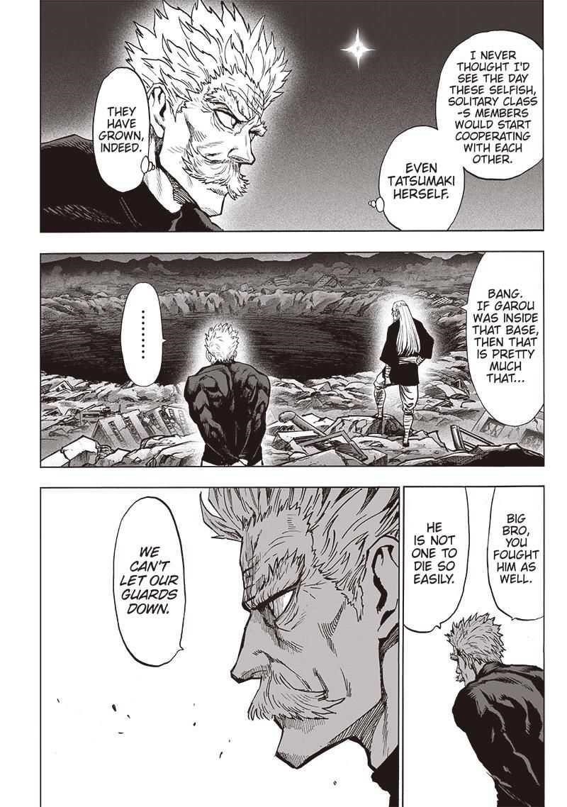 One Punch Man, onepunchman Chapter 196 - Page 10