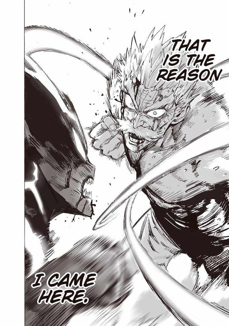 One Punch Man, onepunchman Chapter 209 - Page 17