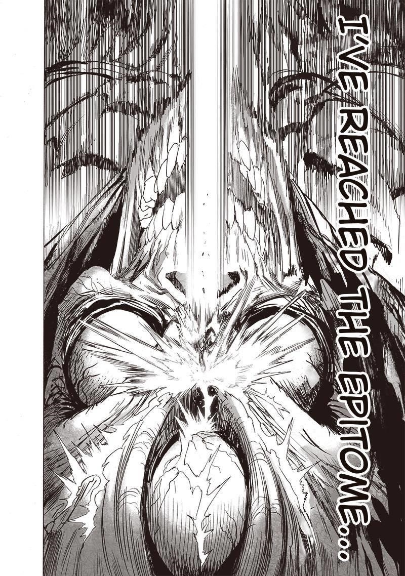 One Punch Man, onepunchman Chapter 217 - Page 16