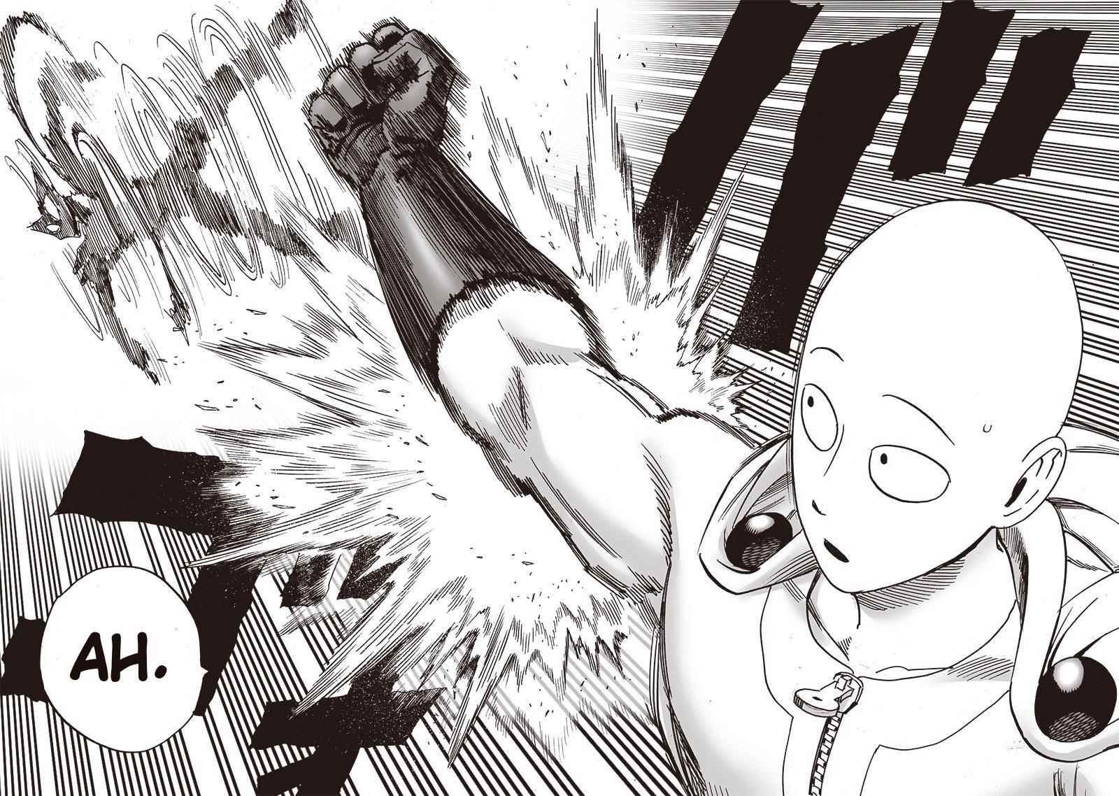 One Punch Man, onepunchman Chapter 219 - Page 17