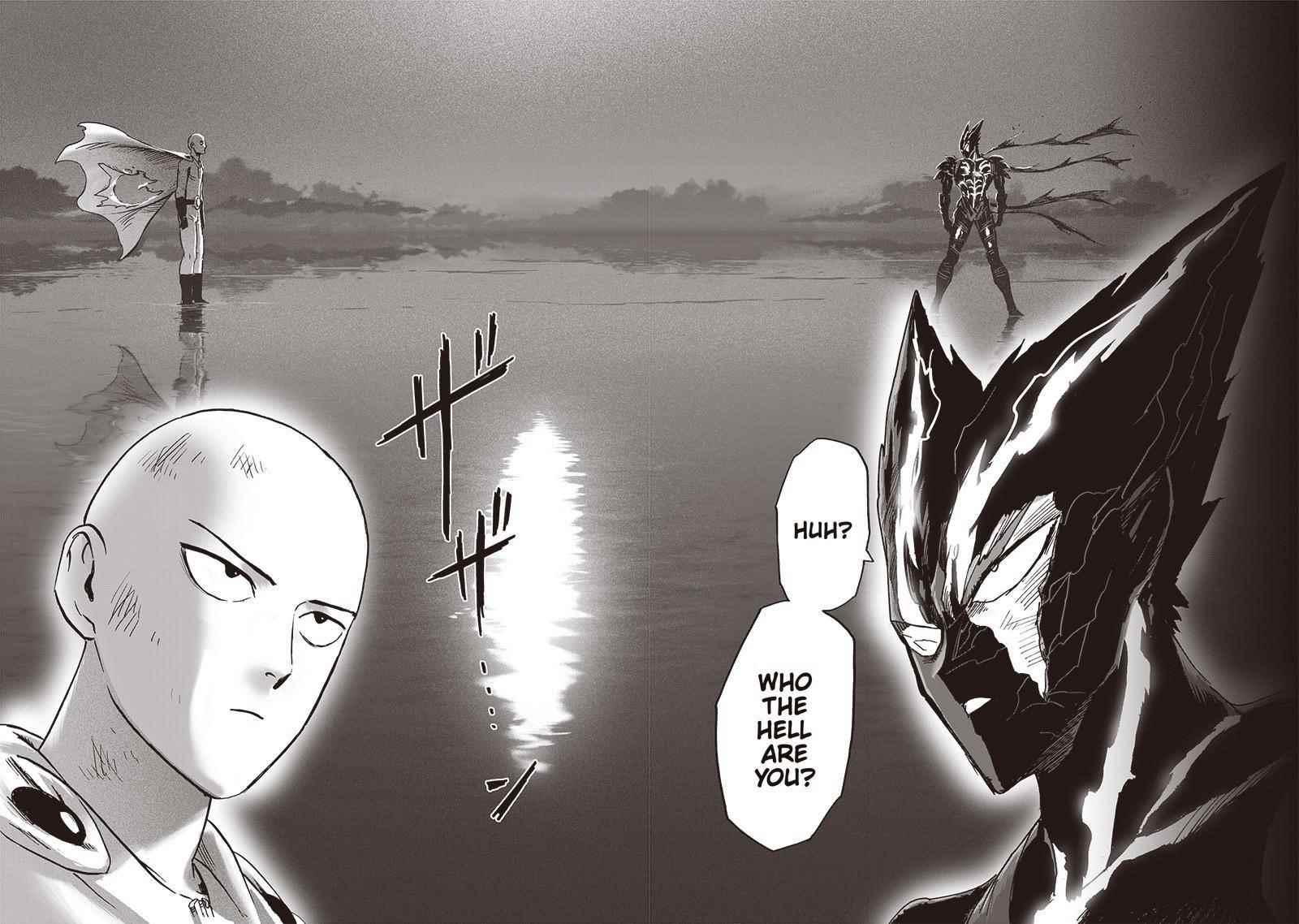 One Punch Man, onepunchman Chapter 219 - Page 5