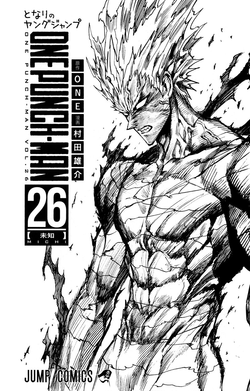 One Punch Man, onepunchman Chapter 226 - Page 11