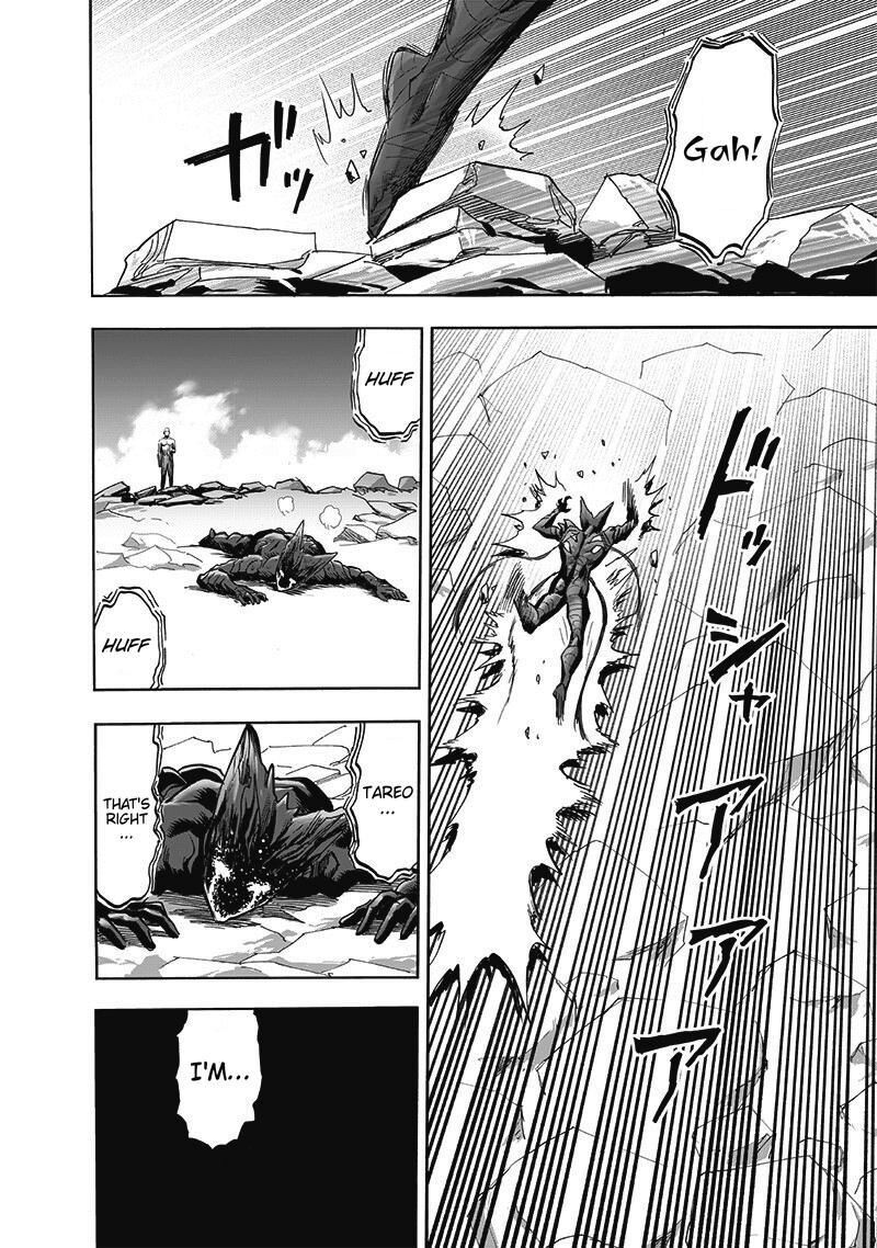 One Punch Man, onepunchman Chapter 227 - Page 41