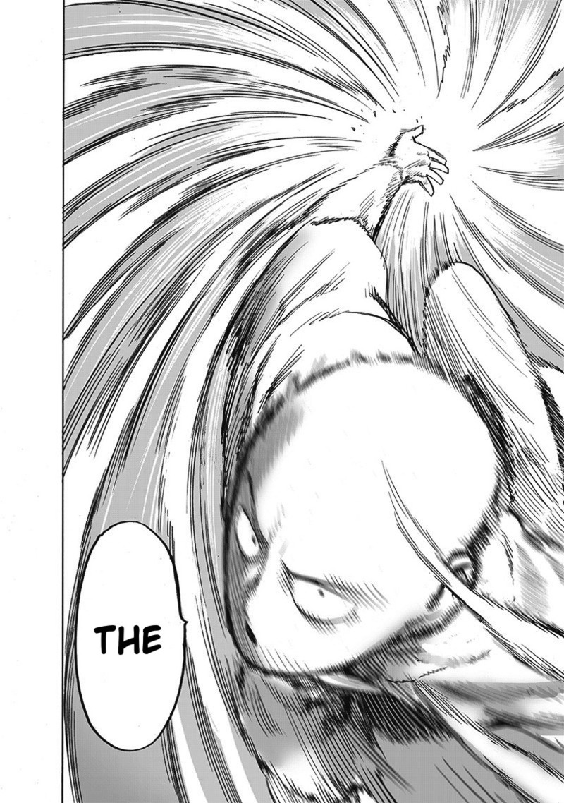 One Punch Man, onepunchman Chapter 231 - Page 20