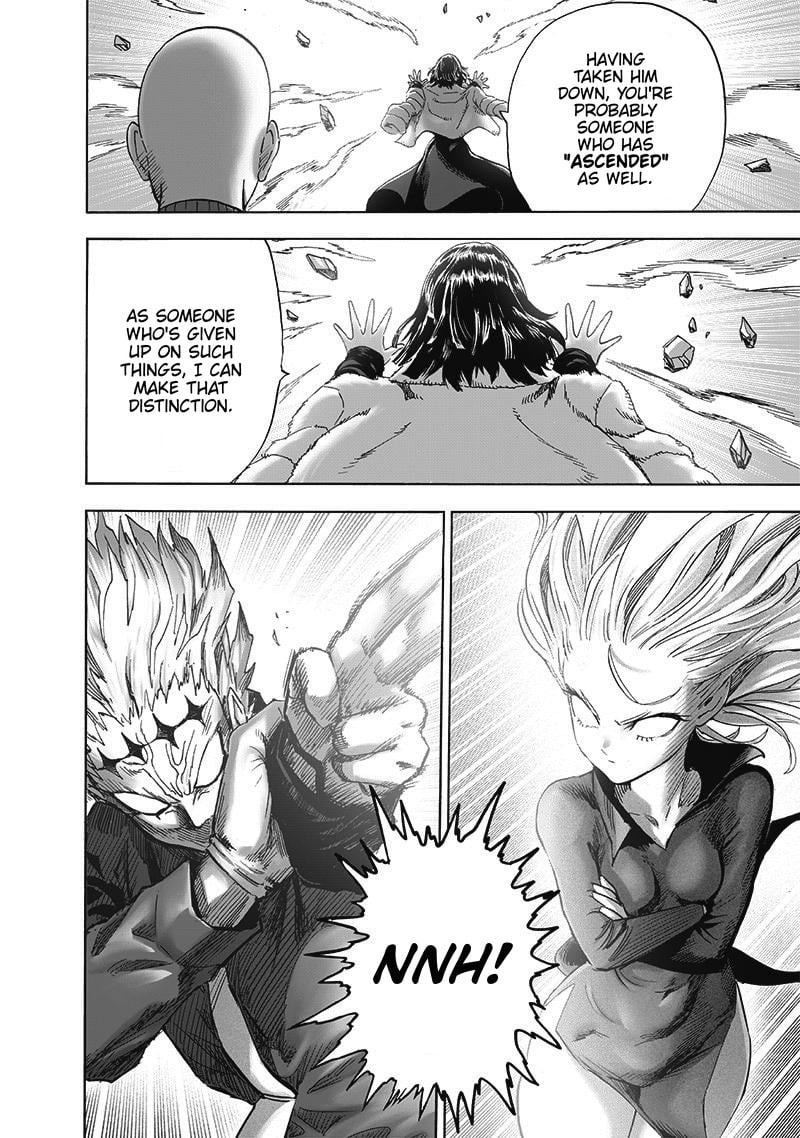 One Punch Man, onepunchman Chapter 235 - Page 23