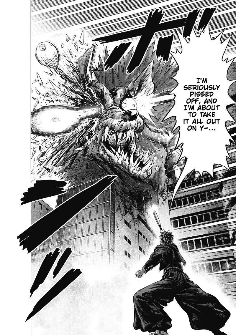 One Punch Man, onepunchman Chapter 239 - Page 29