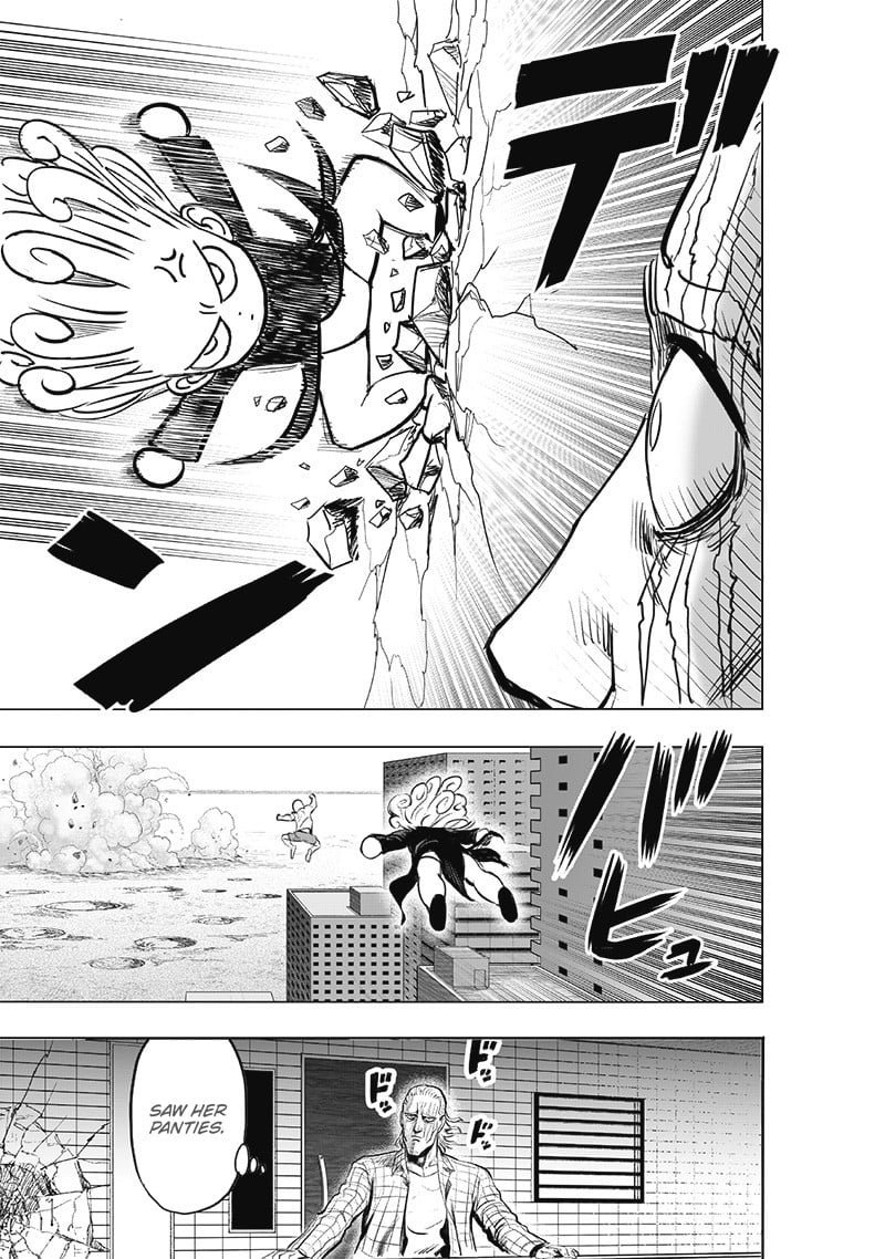 One Punch Man, onepunchman Chapter 240 - Page 27