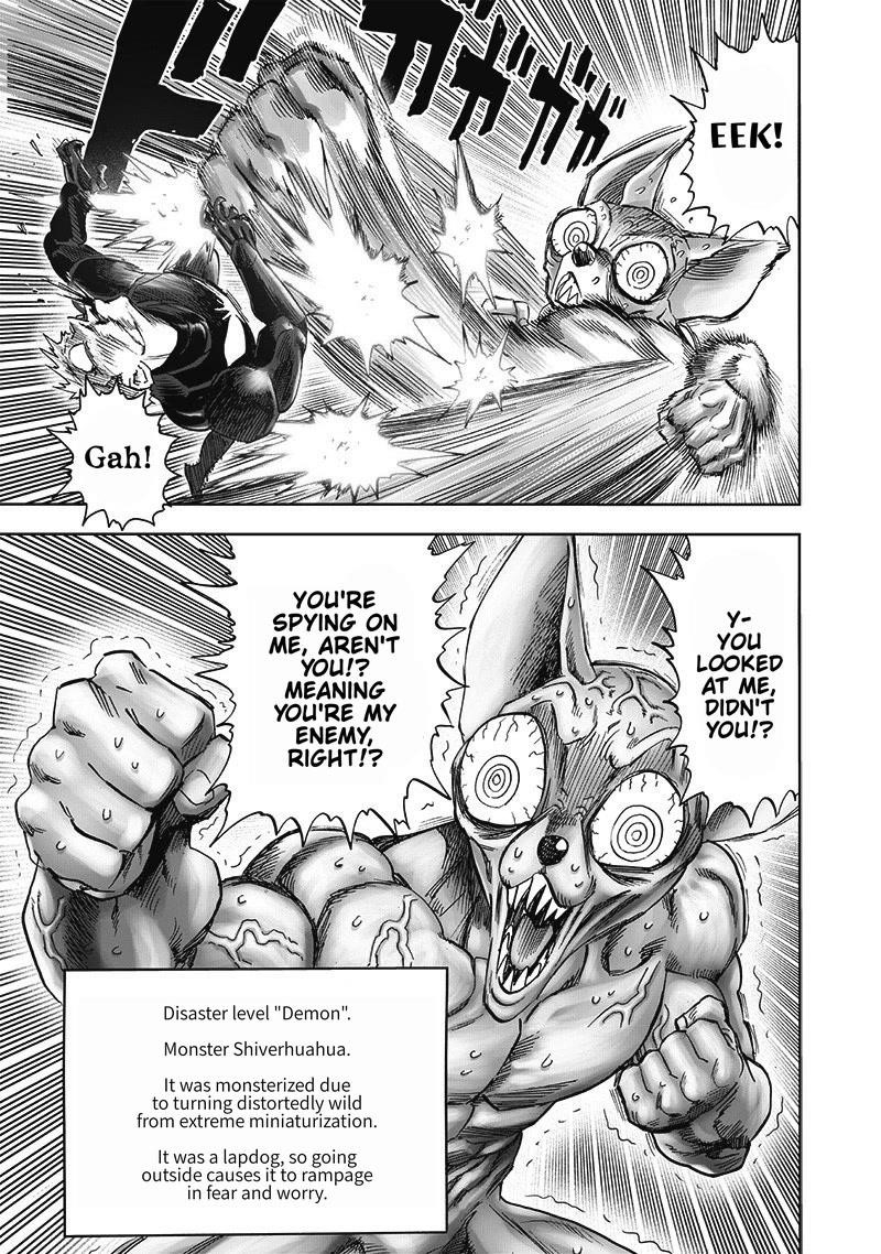 One Punch Man, onepunchman Chapter 246 - Page 17