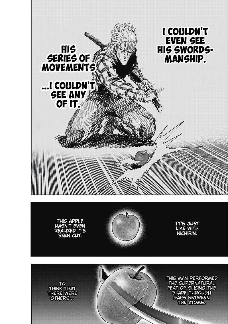 One Punch Man, onepunchman Chapter 249 - Page 26