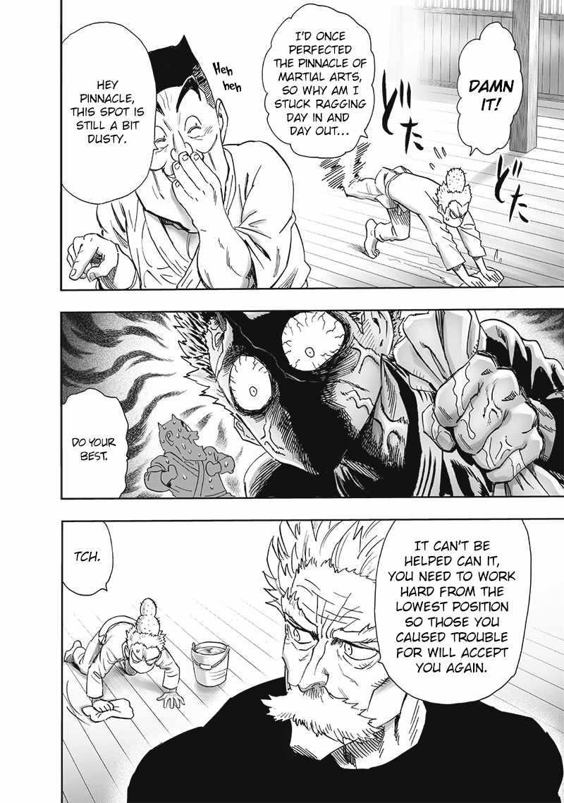 One Punch Man, onepunchman Chapter 251 - Page 24