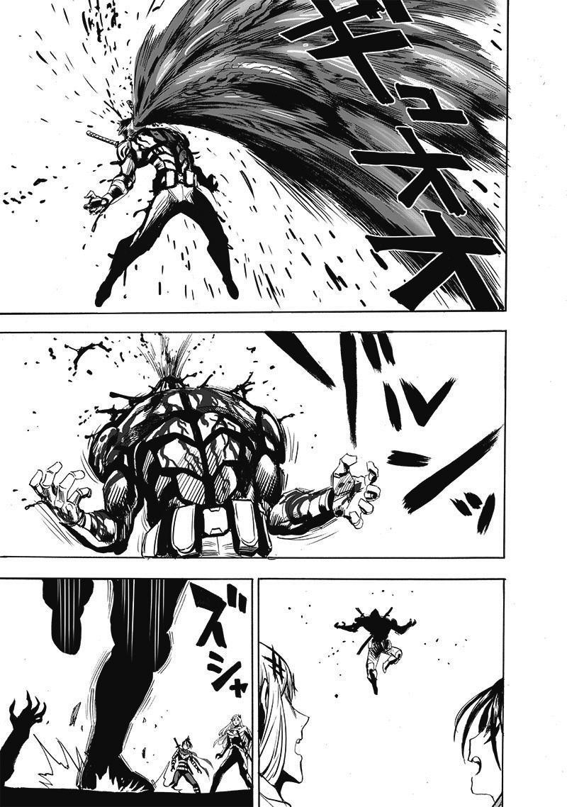 One Punch Man, onepunchman Chapter 261 - Page 13