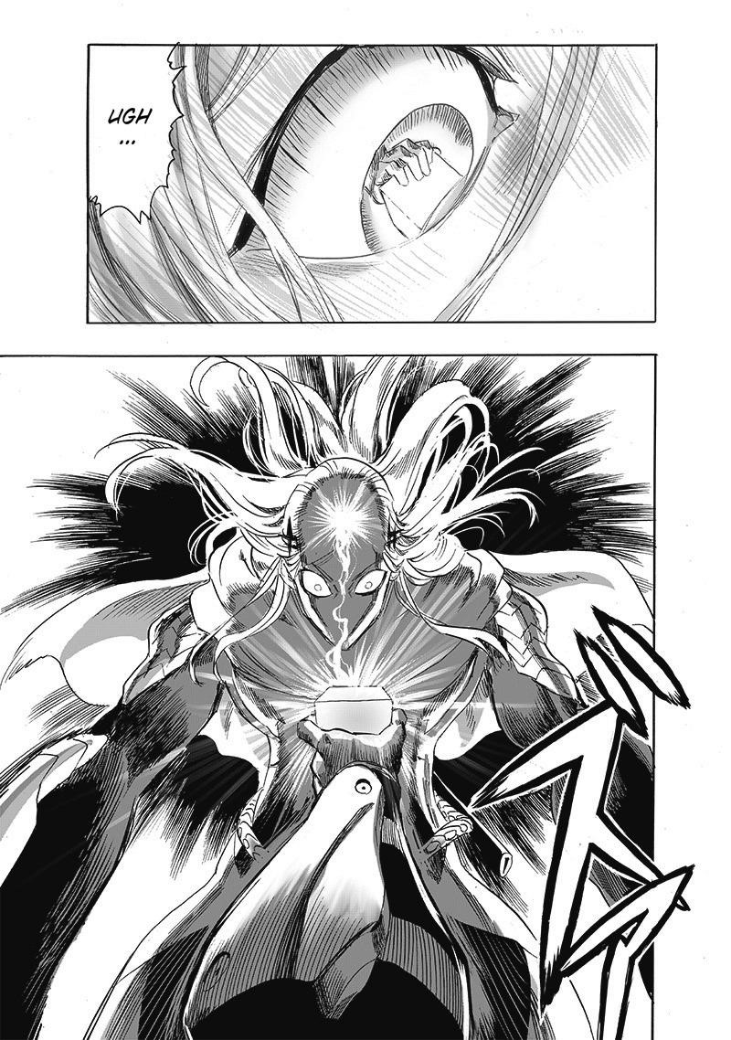 One Punch Man, onepunchman Chapter 264 - Page 15