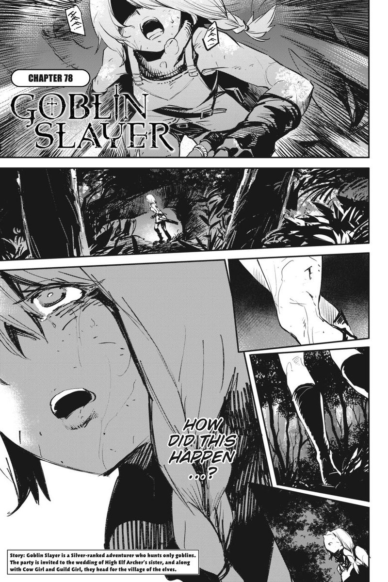 GOBLIN SLAYER Chapter 78 - Page 2